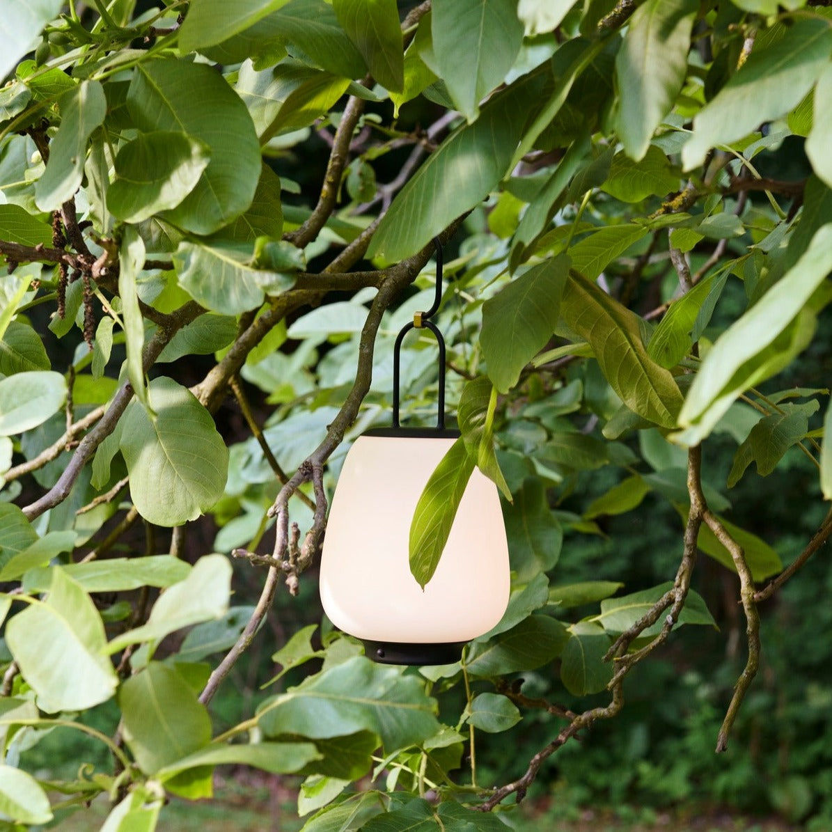 &Tradition Lucca Portable Lamp - Black (Ex-Display)