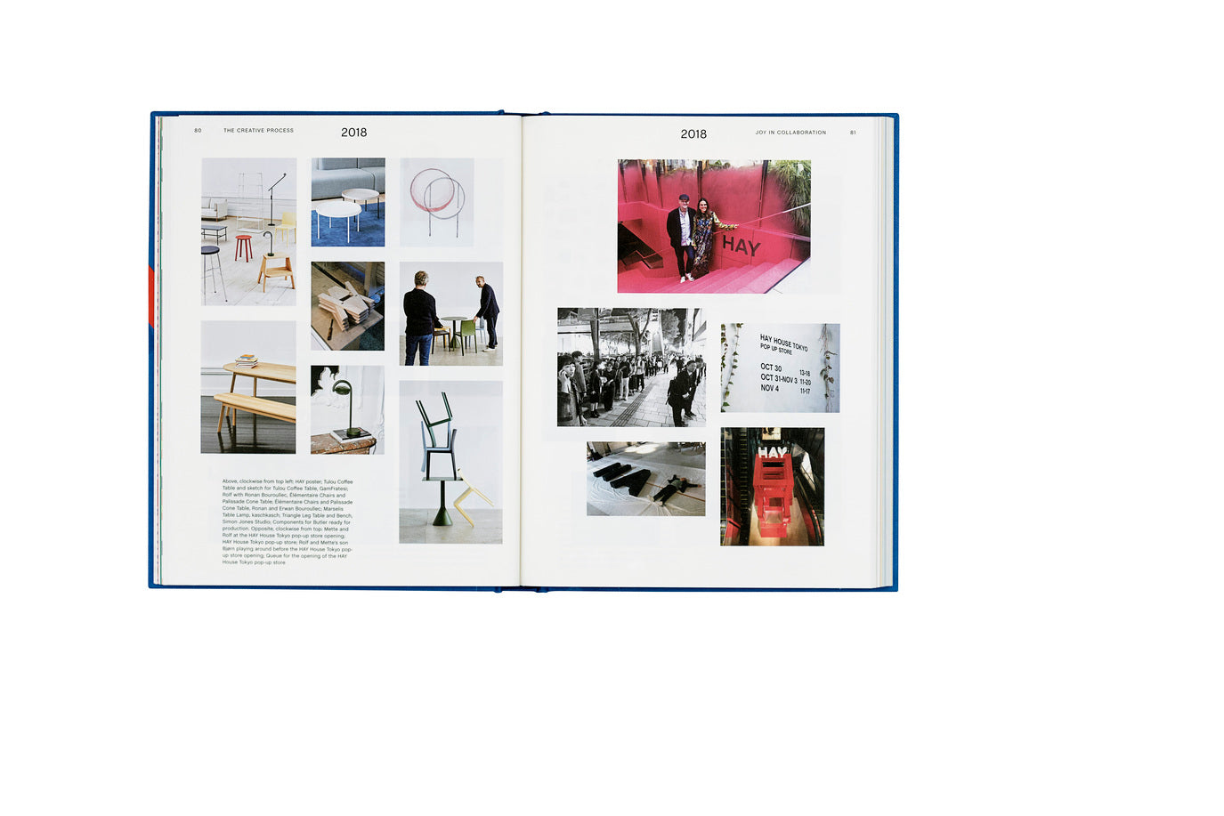 HAY Phaidon Book - Celebrating 20 Years of HAY