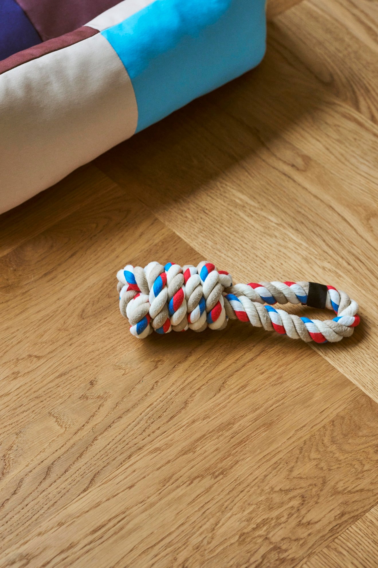HAY Dogs Rope Toy
