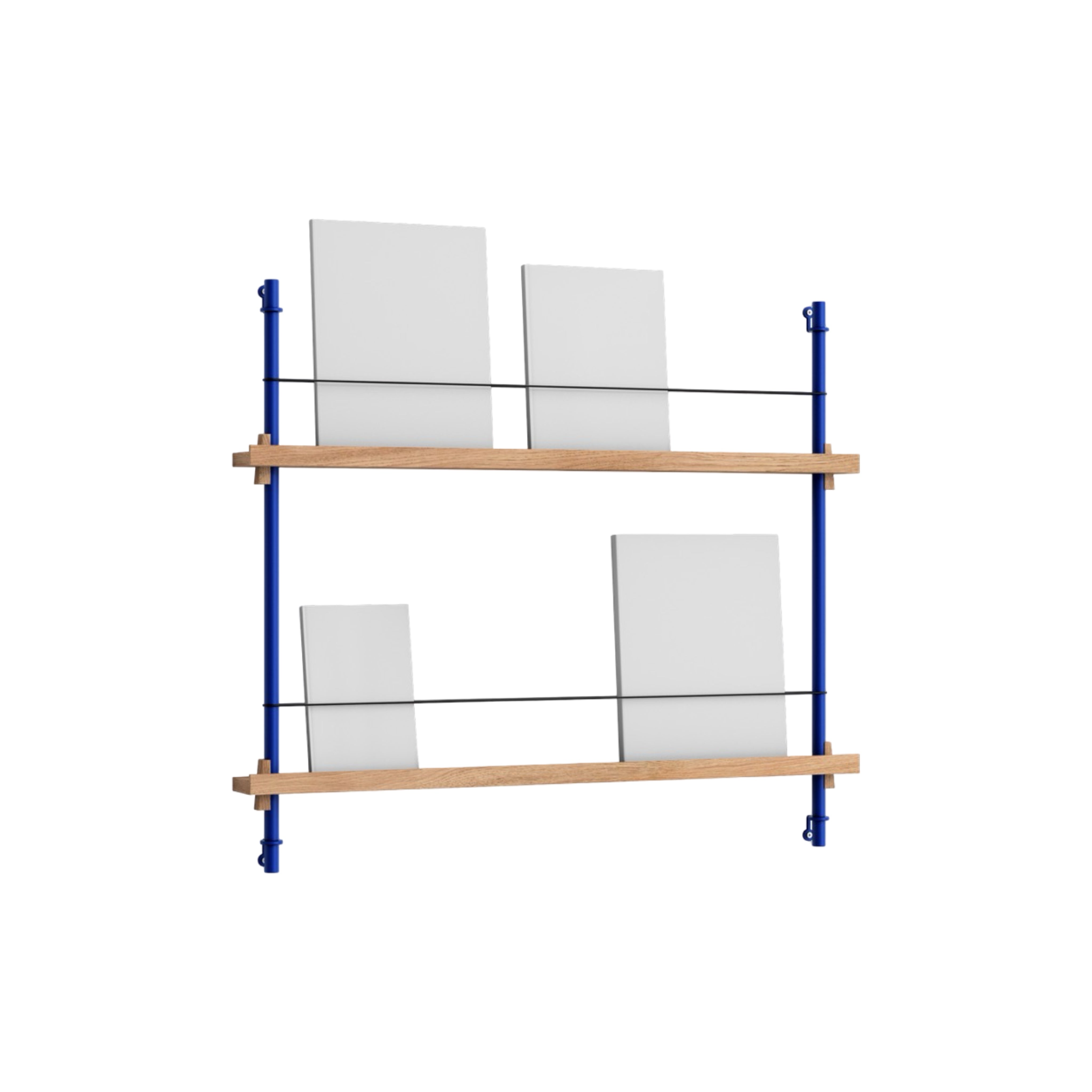 Moebe Magazine Shelving System MS.65.1