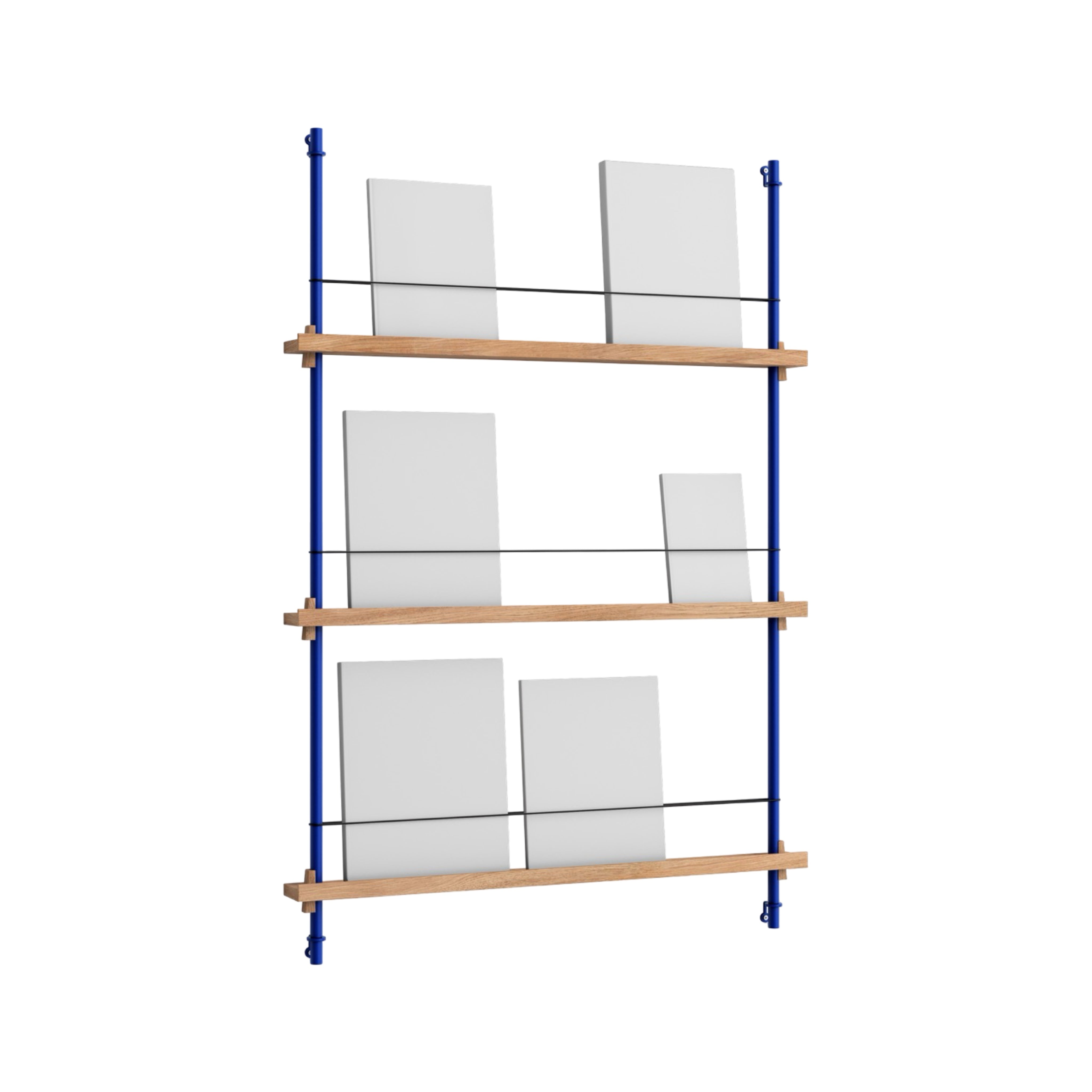 Moebe Magazine Shelving System MS.115.1